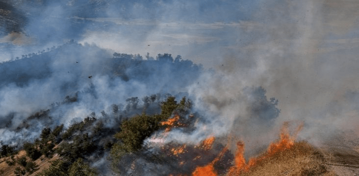 fires-in-the-jungles-of-eastern-Kurdistan